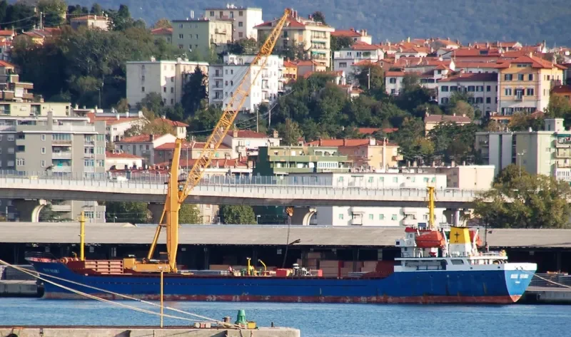 BLUE STAR I General Cargo IMO 9375159 photo 9