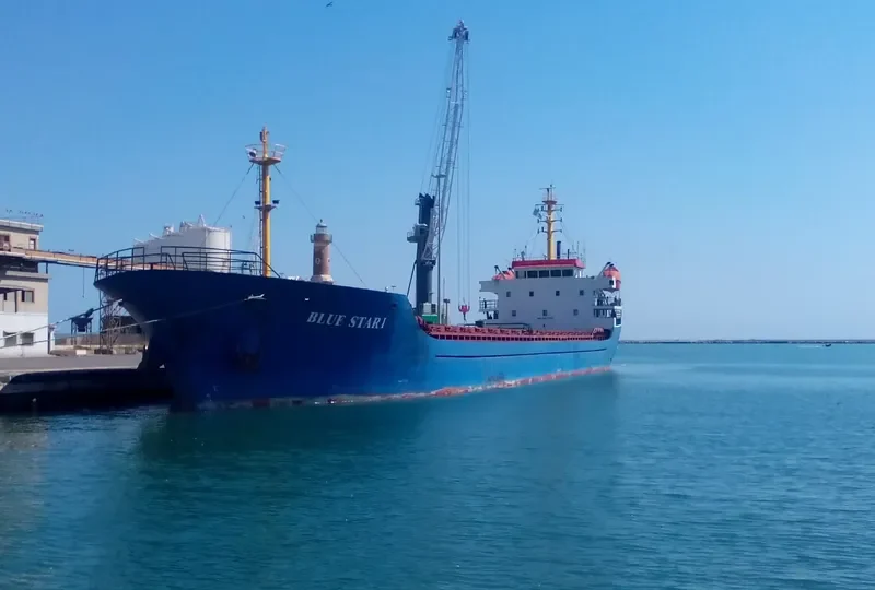 BLUE STAR I General Cargo IMO 9375159 photo 10
