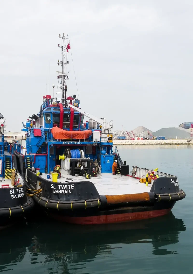 SL TWITE General Cargo IMO 9375173 photo 2