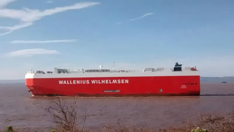 ARC DEFENDER General Cargo IMO 9375264 photo 7