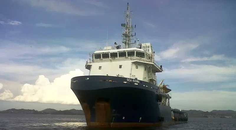 CHANG NING 101 Multi-Purpose Vessel IMO 9375393