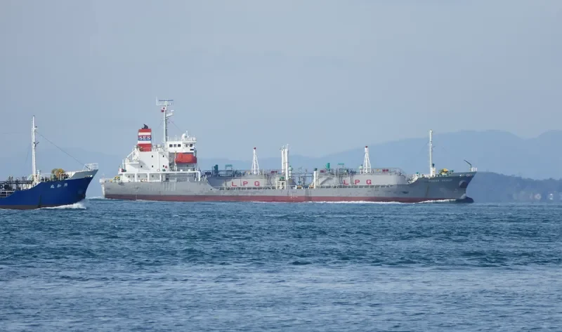 BUENA VENUS General Cargo IMO 9375460 photo 2
