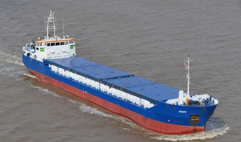 WILSON AVEIRO General Cargo IMO 9375850 photo 2
