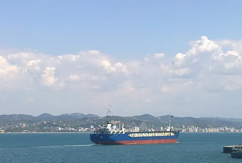 WILSON AVEIRO General Cargo IMO 9375850 photo 5