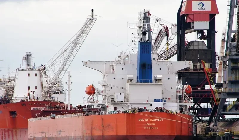 OLYMPIC GALAXY Bulk Carrier IMO 9375915