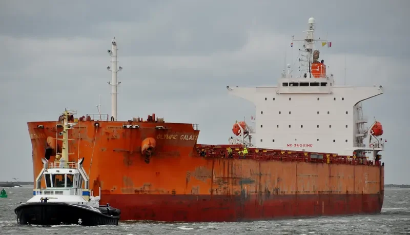 OLYMPIC GALAXY Bulk Carrier IMO 9375915 photo 6