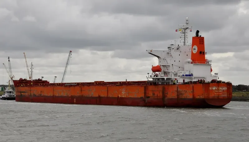 OLYMPIC GALAXY Bulk Carrier IMO 9375915 photo 7