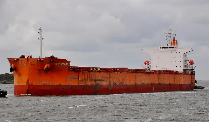 OLYMPIC GALAXY Bulk Carrier IMO 9375915 photo 8