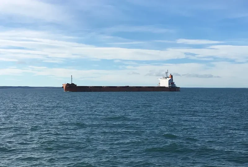 OLYMPIC GALAXY Bulk Carrier IMO 9375915 photo 9