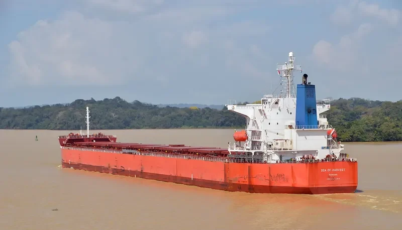 OLYMPIC GALAXY Bulk Carrier IMO 9375915 photo 10