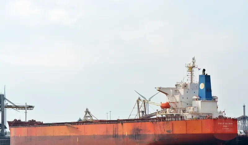 THALASSIC Bulk Carrier IMO 9375927 photo 2