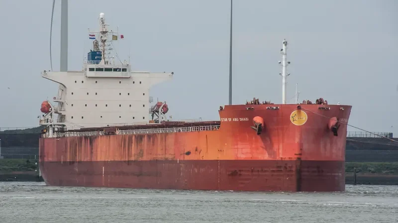 THALASSIC Bulk Carrier IMO 9375927 photo 8