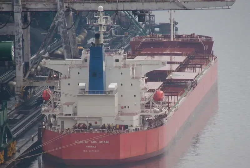 THALASSIC Bulk Carrier IMO 9375927 photo 9