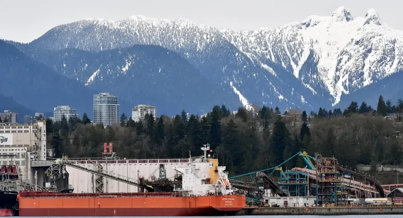 ULTRA PANTHER Bulk Carrier IMO 9375939 photo 2