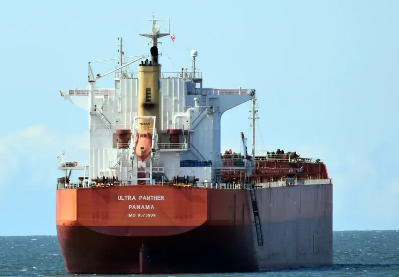 ULTRA PANTHER Bulk Carrier IMO 9375939 photo 4