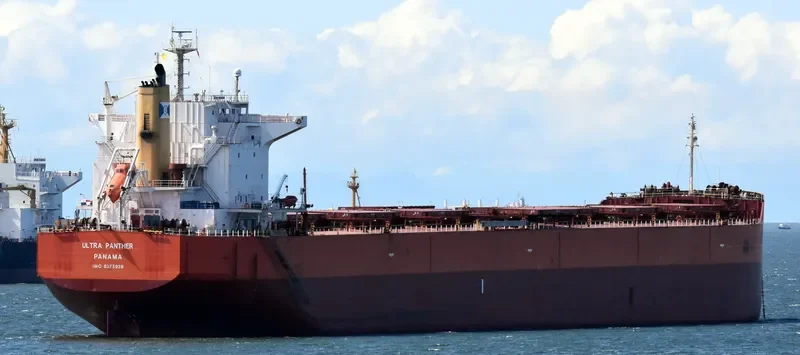 ULTRA PANTHER Bulk Carrier IMO 9375939 photo 5