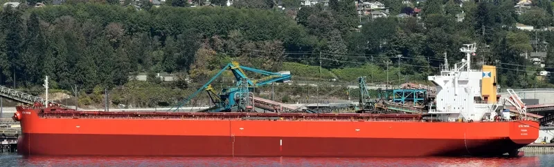 ULTRA PANTHER Bulk Carrier IMO 9375939 photo 7