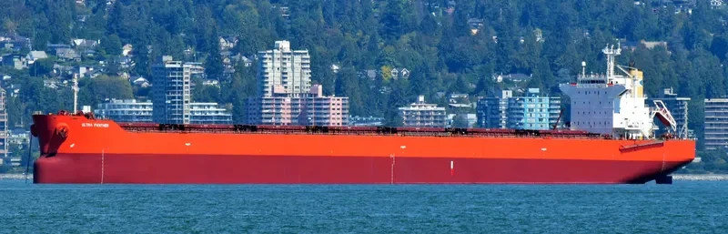 ULTRA PANTHER Bulk Carrier IMO 9375939 photo 8