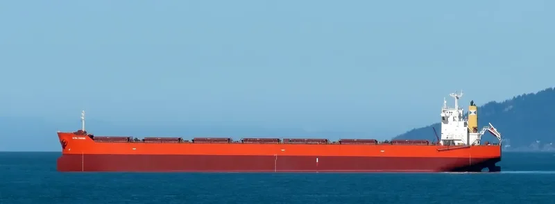 ULTRA PANTHER Bulk Carrier IMO 9375939 photo 9
