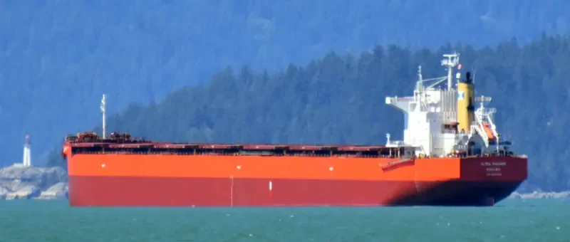 ULTRA PANTHER Bulk Carrier IMO 9375939 photo 10
