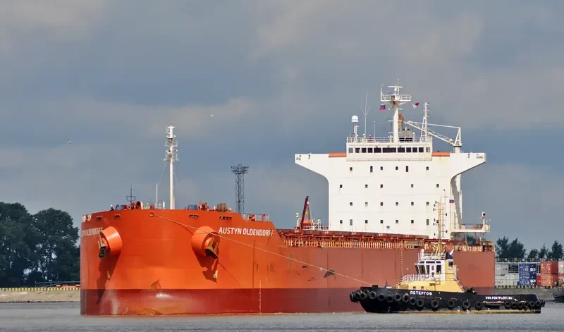 PELAGIC Bulk Carrier IMO 9375941