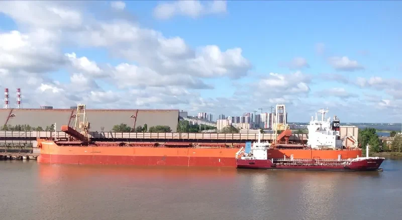 PELAGIC Bulk Carrier IMO 9375941 photo 2