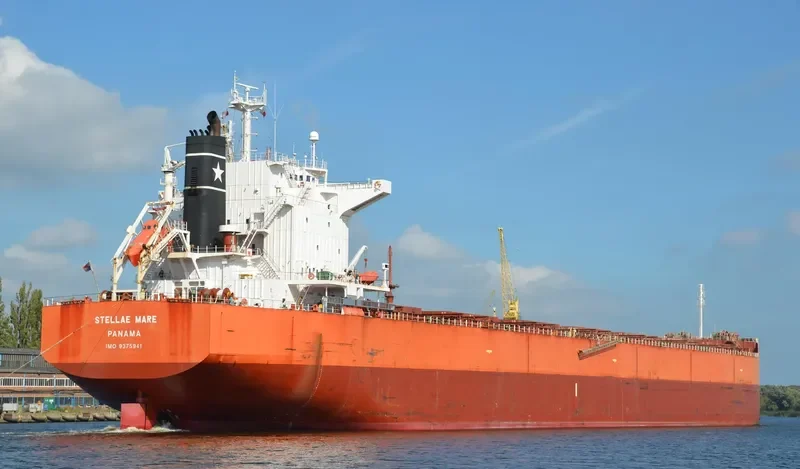 PELAGIC Bulk Carrier IMO 9375941 photo 3