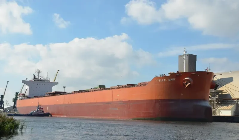 PELAGIC Bulk Carrier IMO 9375941 photo 4