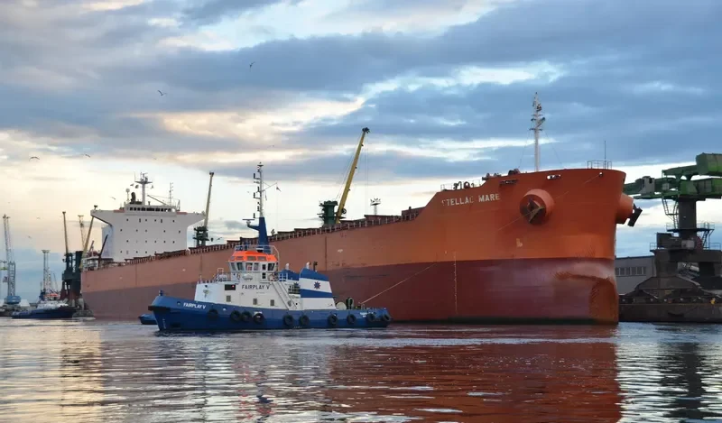 PELAGIC Bulk Carrier IMO 9375941 photo 5