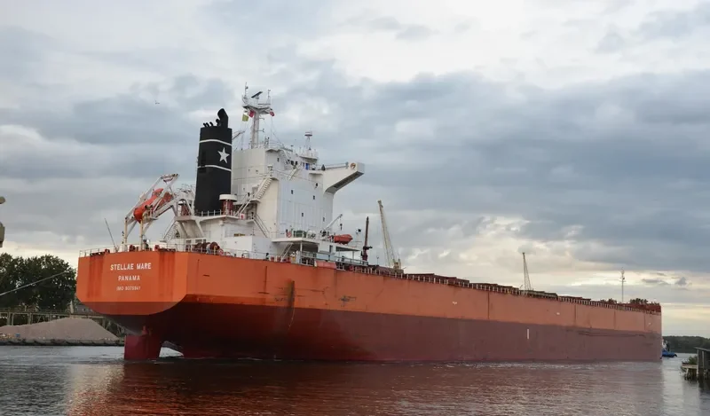 PELAGIC Bulk Carrier IMO 9375941 photo 6