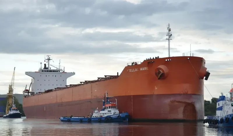PELAGIC Bulk Carrier IMO 9375941 photo 7