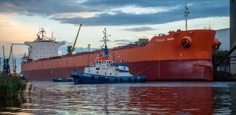 PELAGIC Bulk Carrier IMO 9375941 photo 8