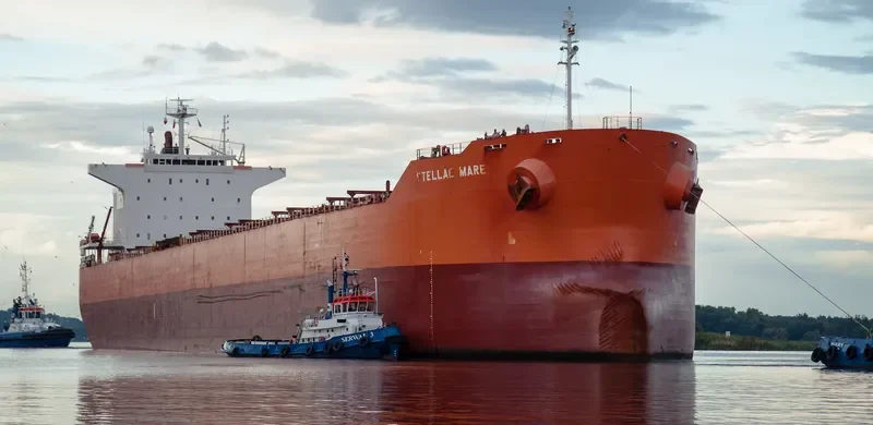 PELAGIC Bulk Carrier IMO 9375941 photo 9