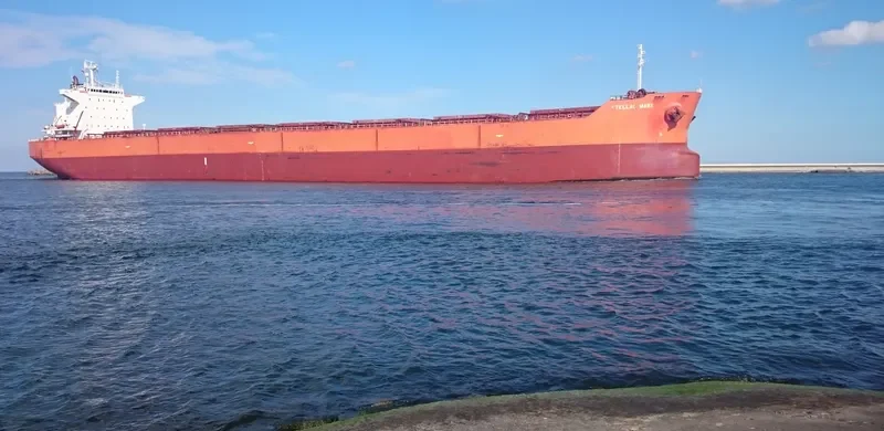 PELAGIC Bulk Carrier IMO 9375941 photo 10