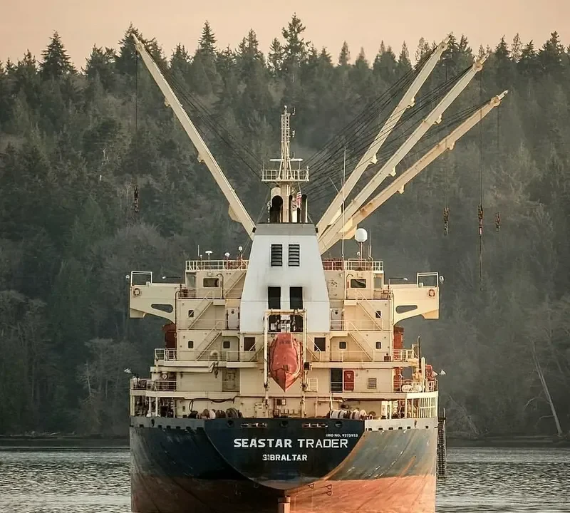 SEASTAR TRADER Bulk Carrier IMO 9375953