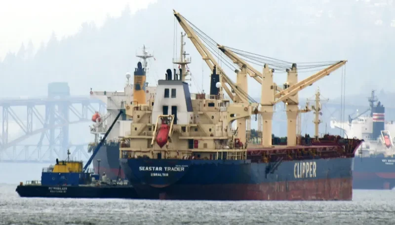 SEASTAR TRADER Bulk Carrier IMO 9375953 photo 4
