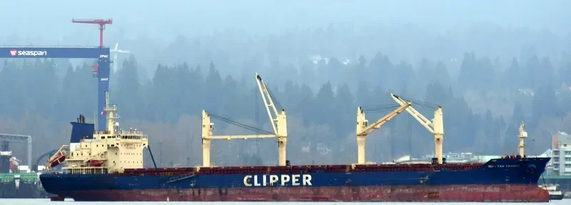 SEASTAR TRADER Bulk Carrier IMO 9375953 photo 5