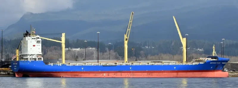 JOHANNES S. Container Ship IMO 9376141 photo 10