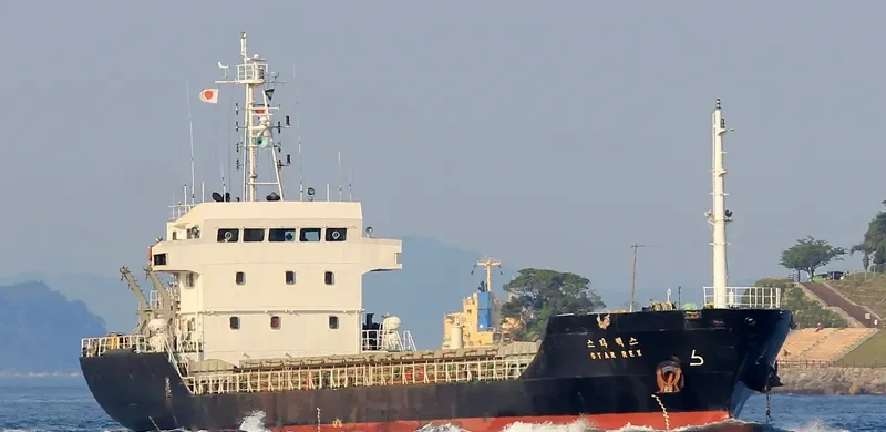 STAR REX Bulk Carrier IMO 9376177 photo 3