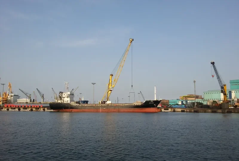 STAR REX Bulk Carrier IMO 9376177 photo 6