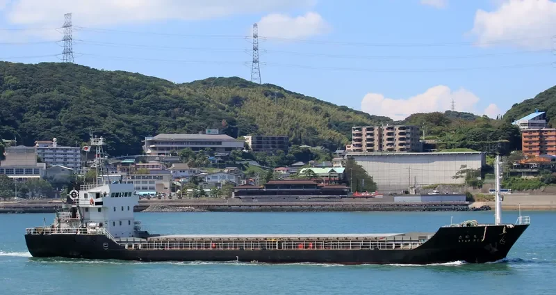STAR REX Bulk Carrier IMO 9376177 photo 9