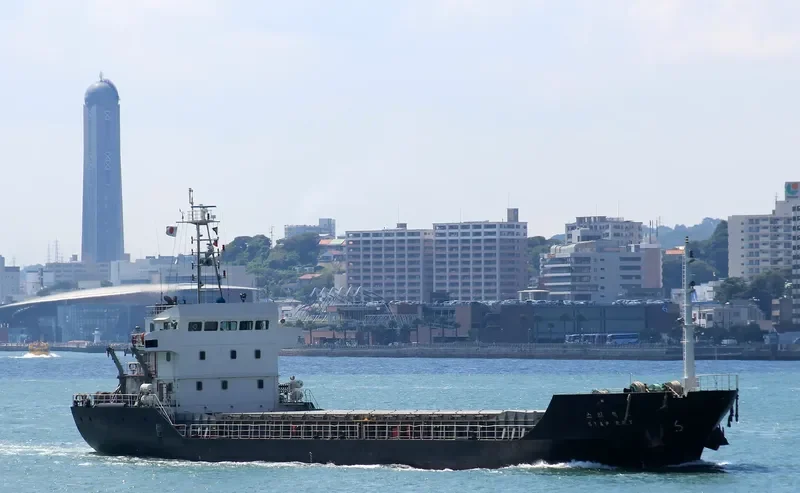 STAR REX Bulk Carrier IMO 9376177 photo 10