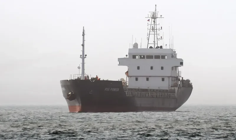 DAHLIA Bulk Carrier IMO 9376189 photo 6