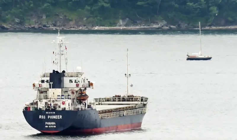 DAHLIA Bulk Carrier IMO 9376189 photo 8