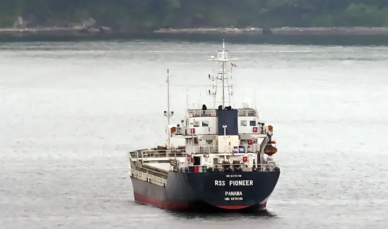 DAHLIA Bulk Carrier IMO 9376189 photo 9