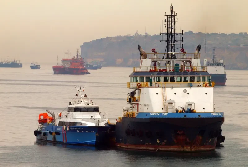 FONSECA TIDE Offshore Vessel IMO 9376244 photo 2