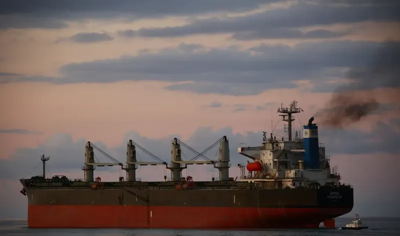 GEMINI Bulk Carrier IMO 9376309 photo 2