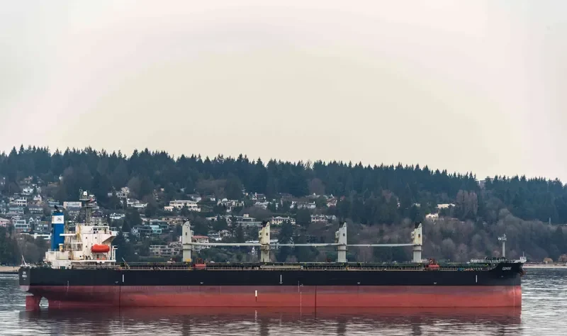 GEMINI Bulk Carrier IMO 9376309 photo 4