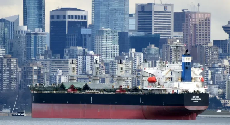 GEMINI Bulk Carrier IMO 9376309 photo 5