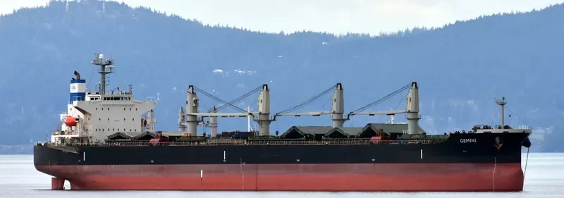 GEMINI Bulk Carrier IMO 9376309 photo 7